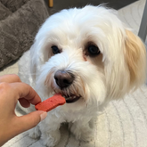 Kumpel-Kekse Rote Beete